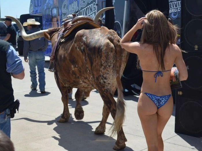 Нецензурні зображення для дорослих. Частина 19 (44 фото) – фото 19