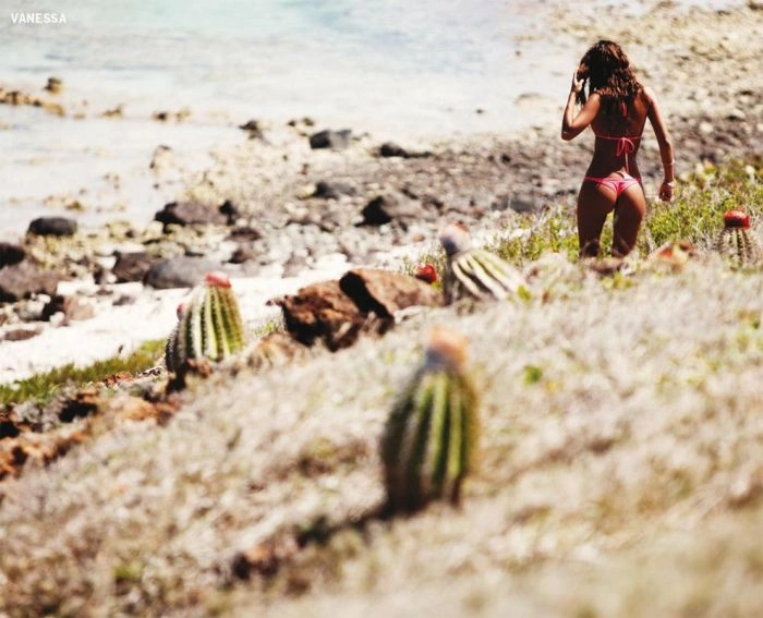 Сексуальні дівчата з конкурсу Міс Риф 2012 (45 фото) – фото 6