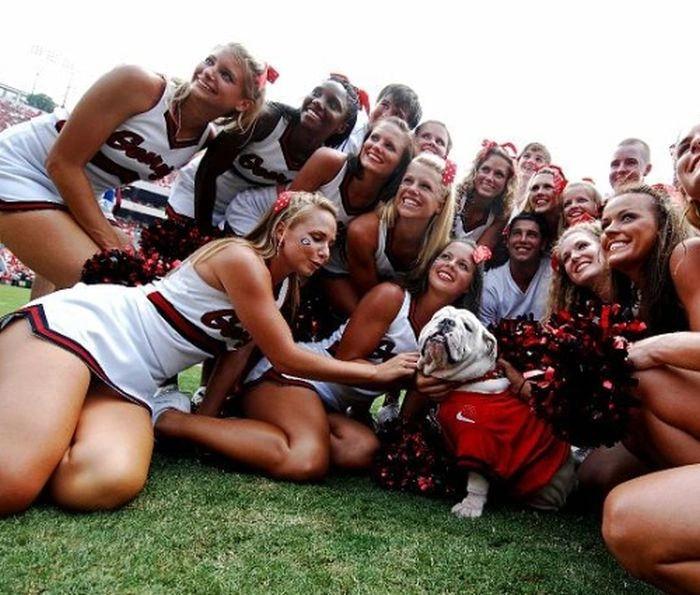 Спортивні дівчата з групи підтримки (55 фото) – фото 35