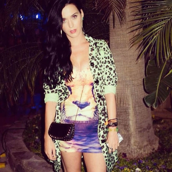 Дівчата з фестивалю Coachella 2013. Частина 2 (58 фото) – фото 18