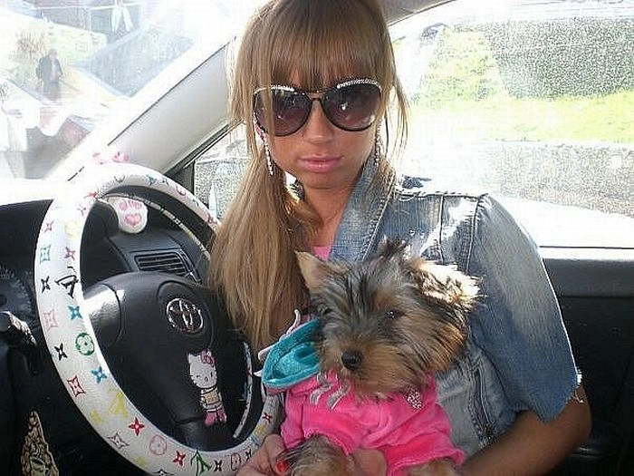 Енциклопедія кішок (40 фото) – фото 13