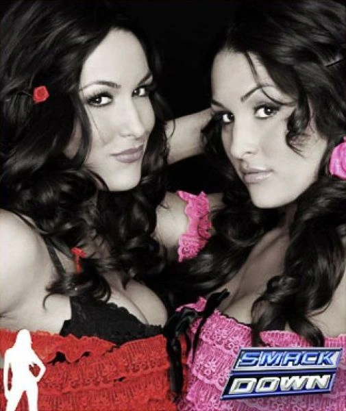 Гарні і сексуальні близняшки (38 фото) – фото 25