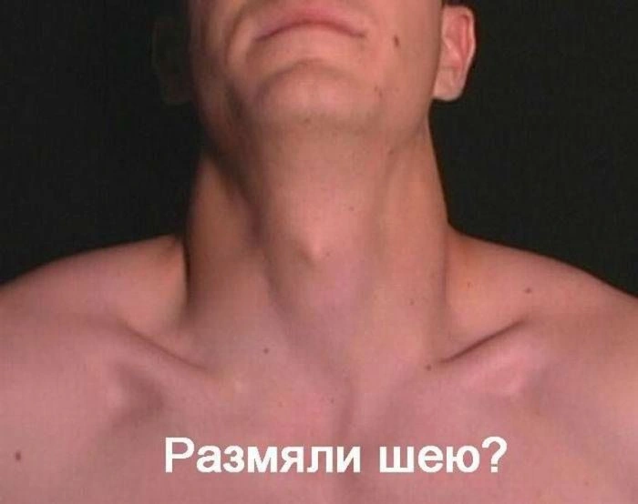 Втомилися на роботі? (12 фото) – фото 11