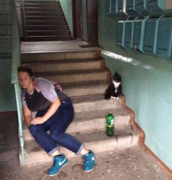 Смішні фото з дівчатами (43 фото) – фото 40