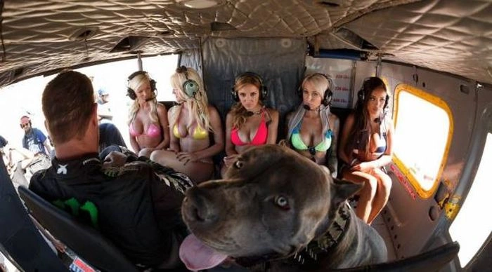 Смішні дівчата. Частина 52 (63 фото) – фото 38