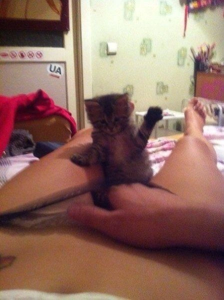 Смішні дівчата. Частина 45 (94 фото) – фото 78