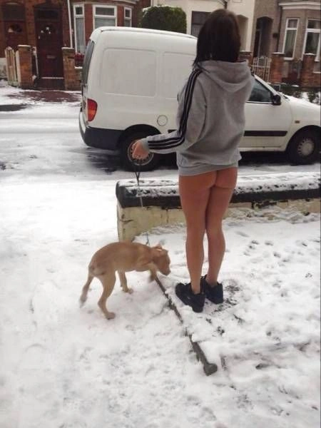 Веселі дівчата. Частина 41 (66 фото) – фото 19