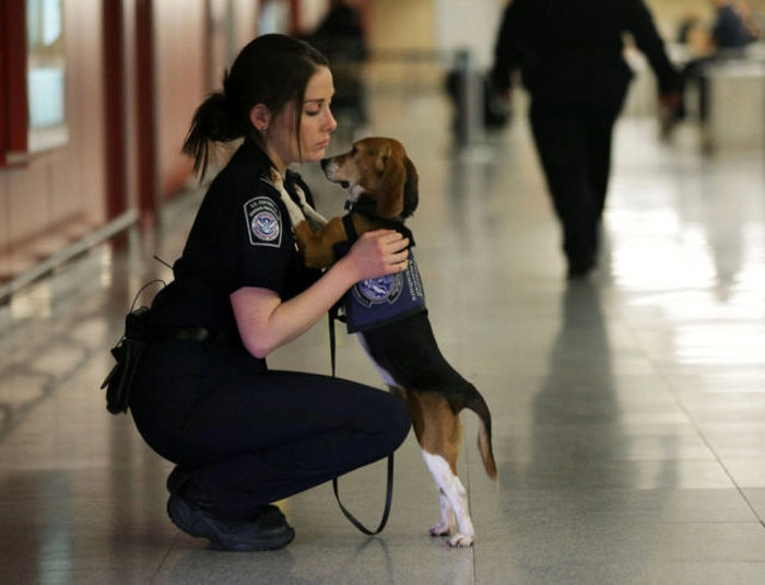 Дівчата в армії (77 фото) – фото 74