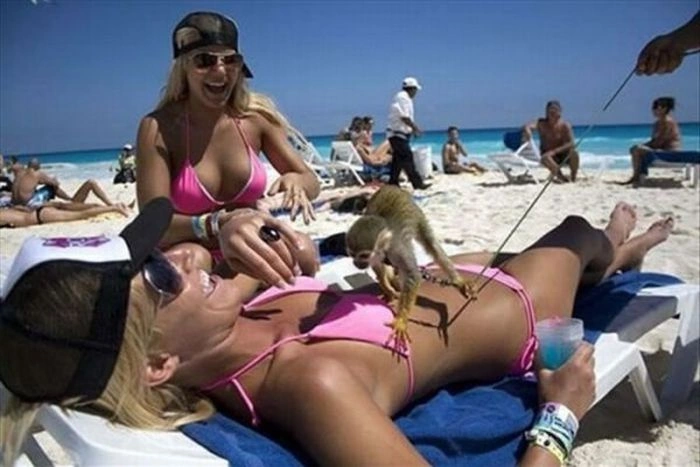 Дівчата та тварини (22 фото) – фото 3