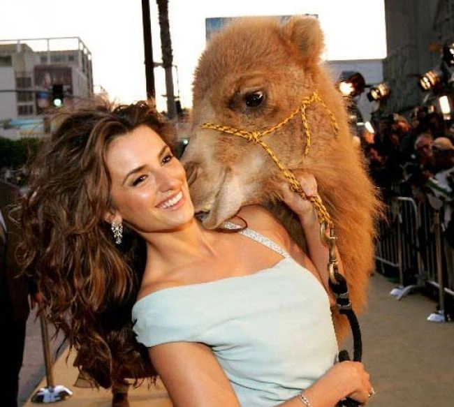 Дівчата та тварини (22 фото) – фото 6