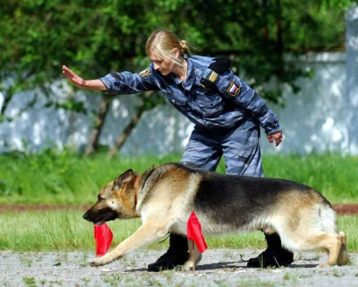 Привабливі дівчата з російської поліції (30 фото) – фото 9
