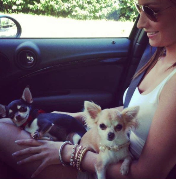 Сексуальні дівчата всесвітньо відомих футболістів (75 фото) – фото 62