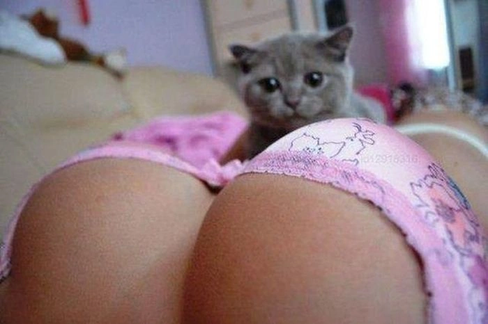 Нецензурні зображення для дорослих. Частина 34 (37 фото) – фото 20