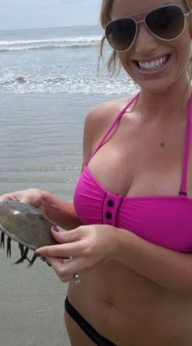 Сексуальні дівчата в бікіні (46 фото) – фото 17