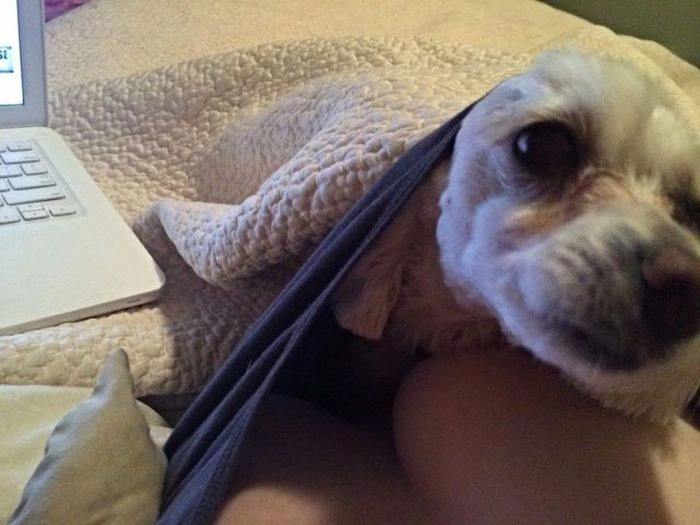 Нецензурні зображення для дорослих. Частина 44 (62 фото) – фото 16