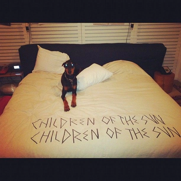 Приватне життя відомих порноактрис (29 фото) – фото 9