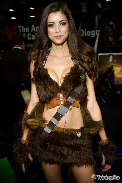 Сексуальний косплей на Comic Con у Сан-Дієго 2013 року (31 фото) – фото 14