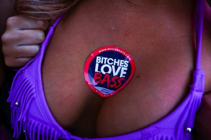 Музичний фестиваль Ultra Music Festival (38 фото) – фото 8