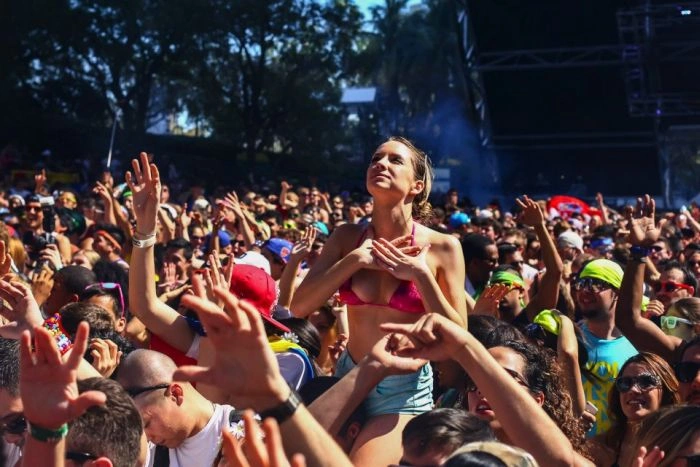 Музичний фестиваль Ultra Music Festival (38 фото) – фото 24