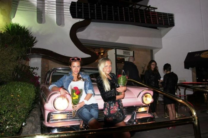 Наші дівчата та їх автомобілі. Частина 3 (40 фото) – фото 14