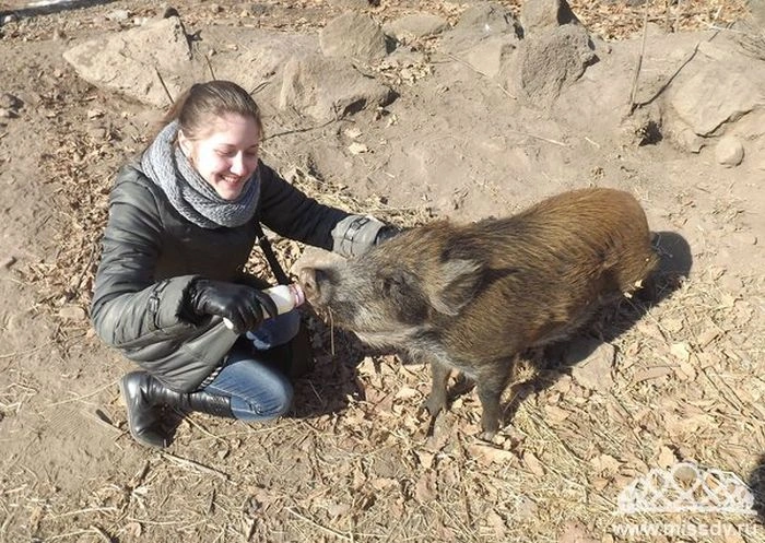 Пані Інтернет Далекого Сходу 2013 (140 фото) – фото 3
