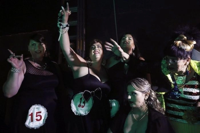 Пані Повненька та Красива (31 фото) – фото 13