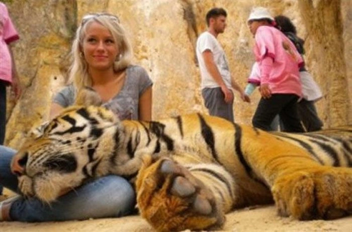 Українські наречені з зарубіжних сайтів знайомств. Частина 3 (35 фото) – фото 3