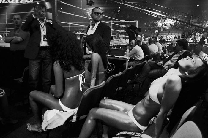 Дівчата з рингу (13 фото) – фото 3