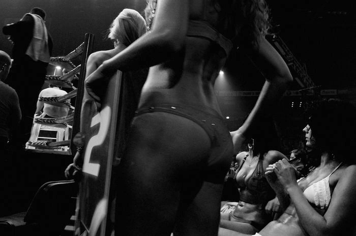 Дівчата з рингу (13 фото) – фото 10