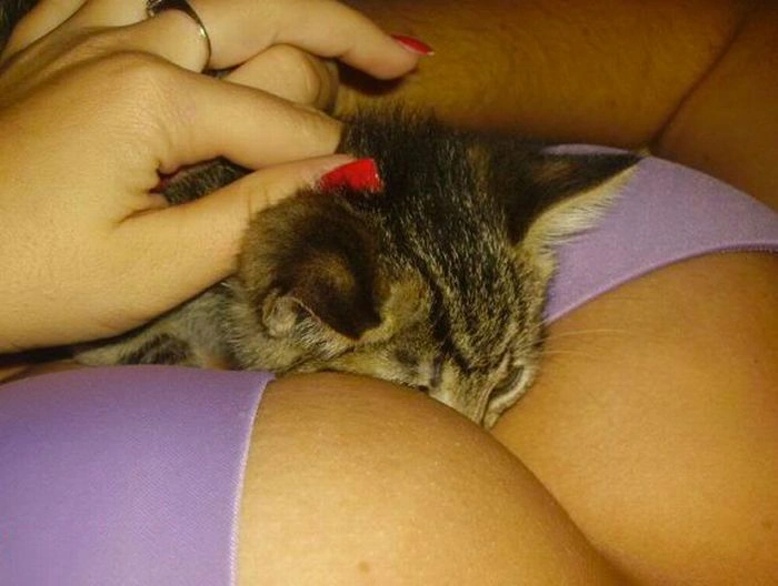 Моторна лодка (36 фото) – фото 7