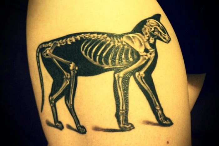 Колекція татуювань (180 фото) – фото 12