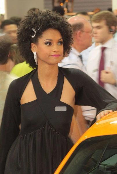 Дівчата з автосалону (90 фото) – фото 44