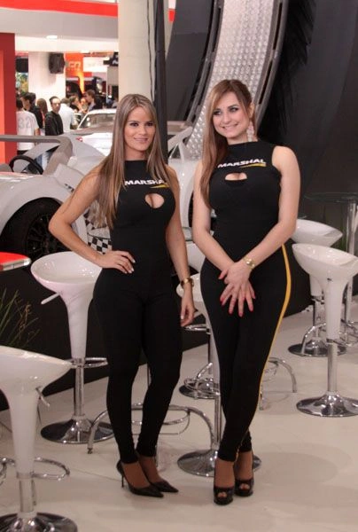 Дівчата з автосалону (90 фото) – фото 83