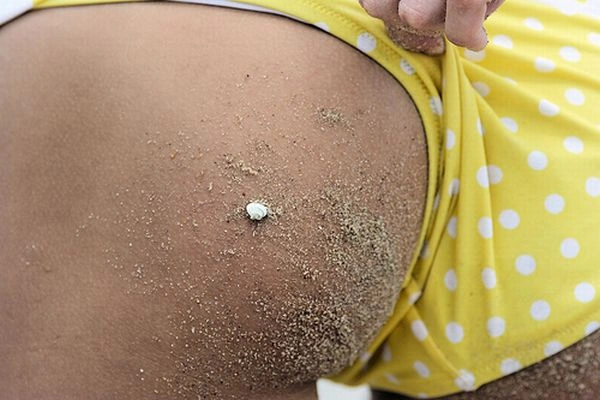 Сраки в піску (30 фото) – фото 8