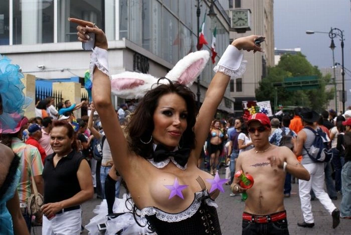 Сексуальні великодні кролики (62 фото) – фото 16