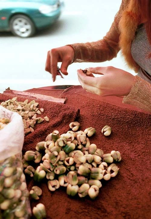 Дівчата-продавці арекового горіха на Тайвані (51 фото) – фото 2