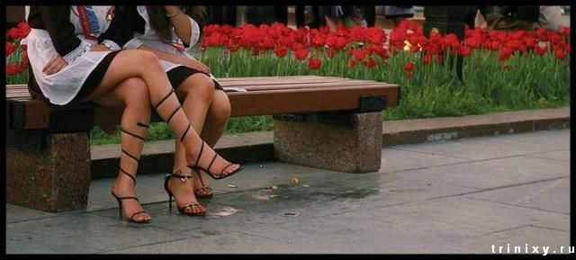 Останній дзвінок (140 фото) – фото 78