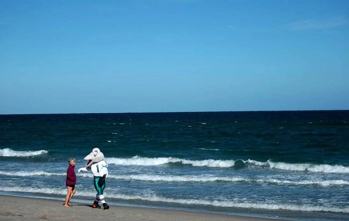 Битва дівчат з групи підтримки (34 фото) – фото 17