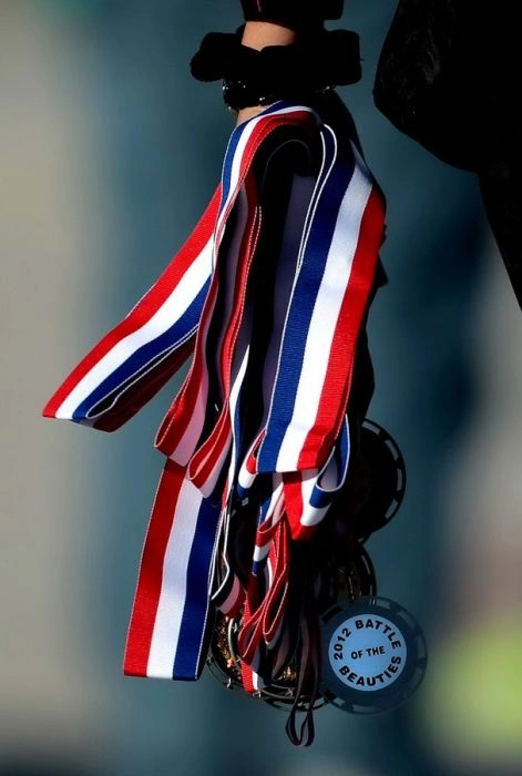 Битва дівчат з групи підтримки (34 фото) – фото 34