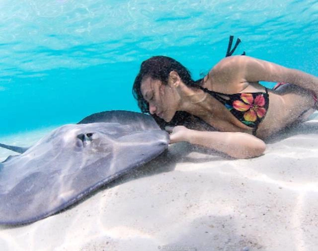 Рава Рей - королева скатів (25 фото) – фото 16