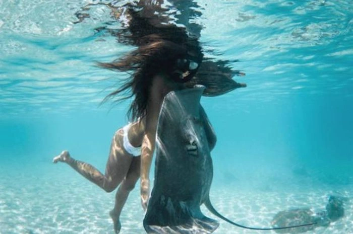 Рава Рей - королева скатів (25 фото) – фото 17