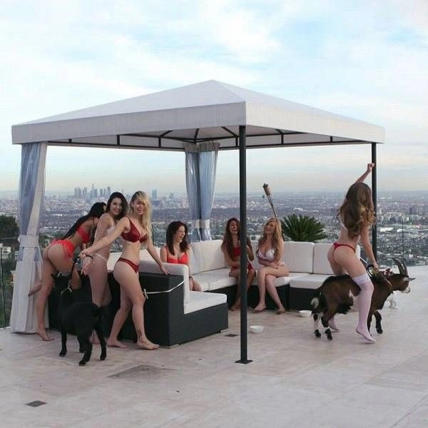 Смішні дівчата. Частина 84 (48 фото) – фото 39