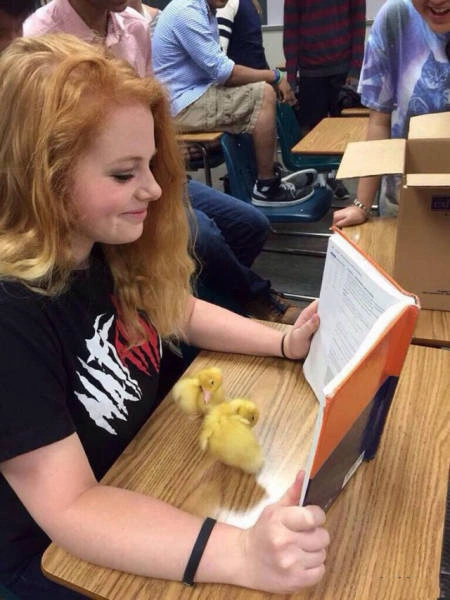 Трохи божевільні дівчата (44 фото) – фото 35