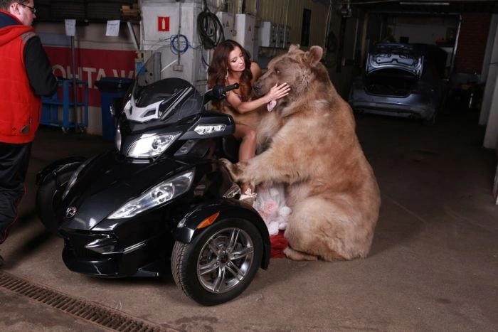 Смілива фотосесія дівчини з ведмедем (20 фото) – фото 4