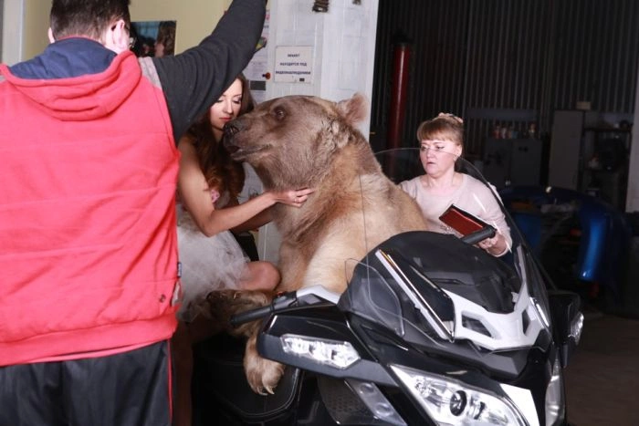 Смілива фотосесія дівчини з ведмедем (20 фото) – фото 8