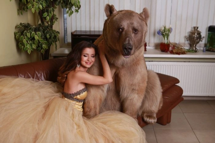 Смілива фотосесія дівчини з ведмедем (20 фото) – фото 13