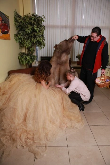 Смілива фотосесія дівчини з ведмедем (20 фото) – фото 18