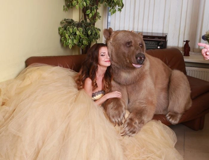 Смілива фотосесія дівчини з ведмедем (20 фото) – фото 19