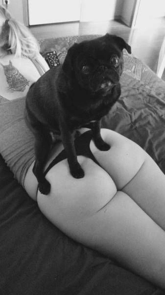 Смішні дівчата. Частина 32 (44 фото) – фото 17