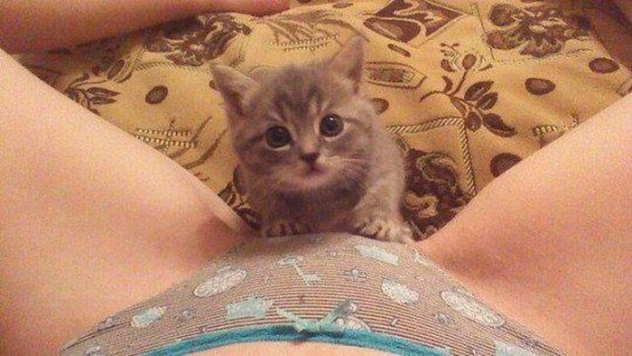 Смішні дівчата. Частина 28 (43 фото) – фото 9